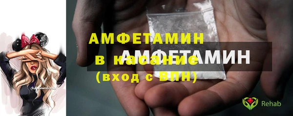 стаф Верея