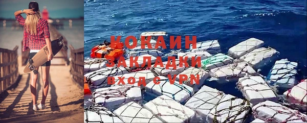 стаф Верея