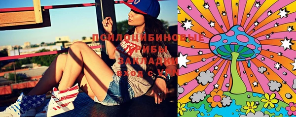 PSILOCYBIN Верхний Тагил