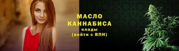стаф Верея
