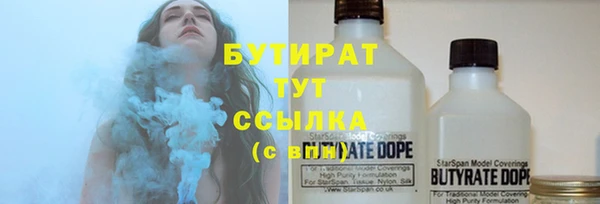 стаф Верея