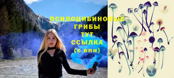 стаф Верея