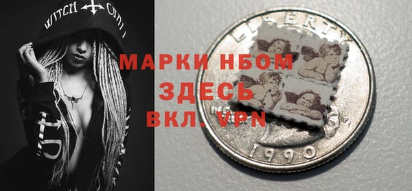 стаф Верея