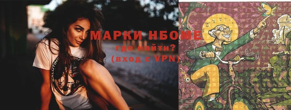 стаф Верея