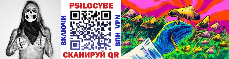 МЕГА онион  Томилино  Галлюциногенные грибы мицелий 
